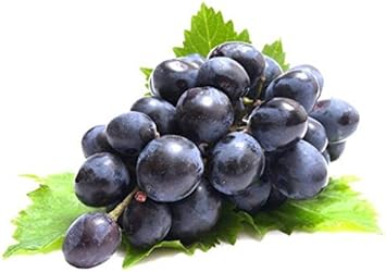 Fresh Grape Fruit Seeds for Planting - Dark Violet for Garden Seeds, Ideal for Home Garden, GMO Free